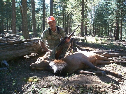 DanM Elk 2003