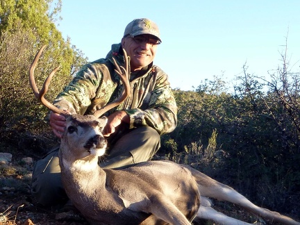 DanM's Arizona mule deer buck fall 2015