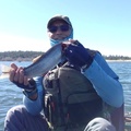 Dan M. with a 16" Cutthroat at Big Lake 2021